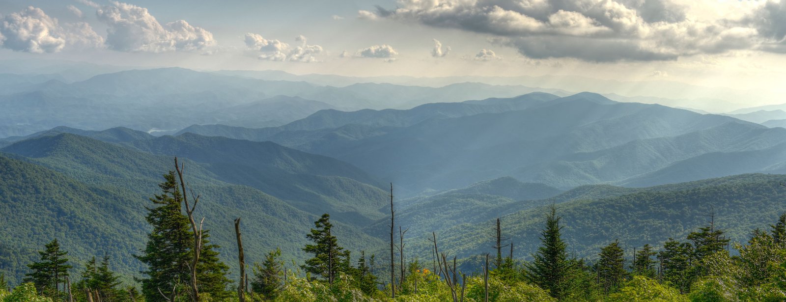 Sameh Catering supplies